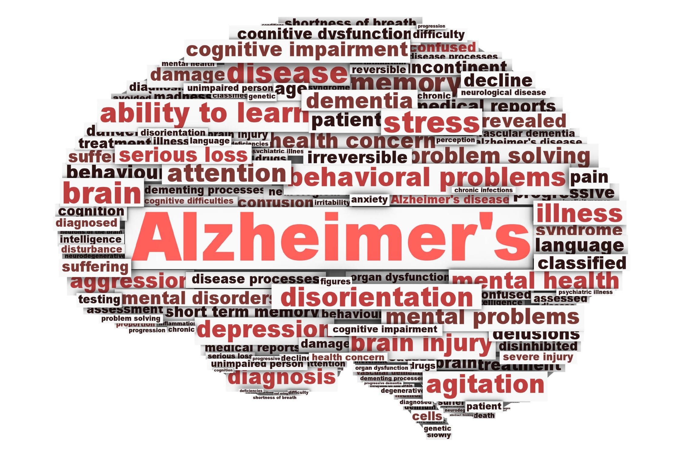 November is National Alzheimer's Disease Awareness Month